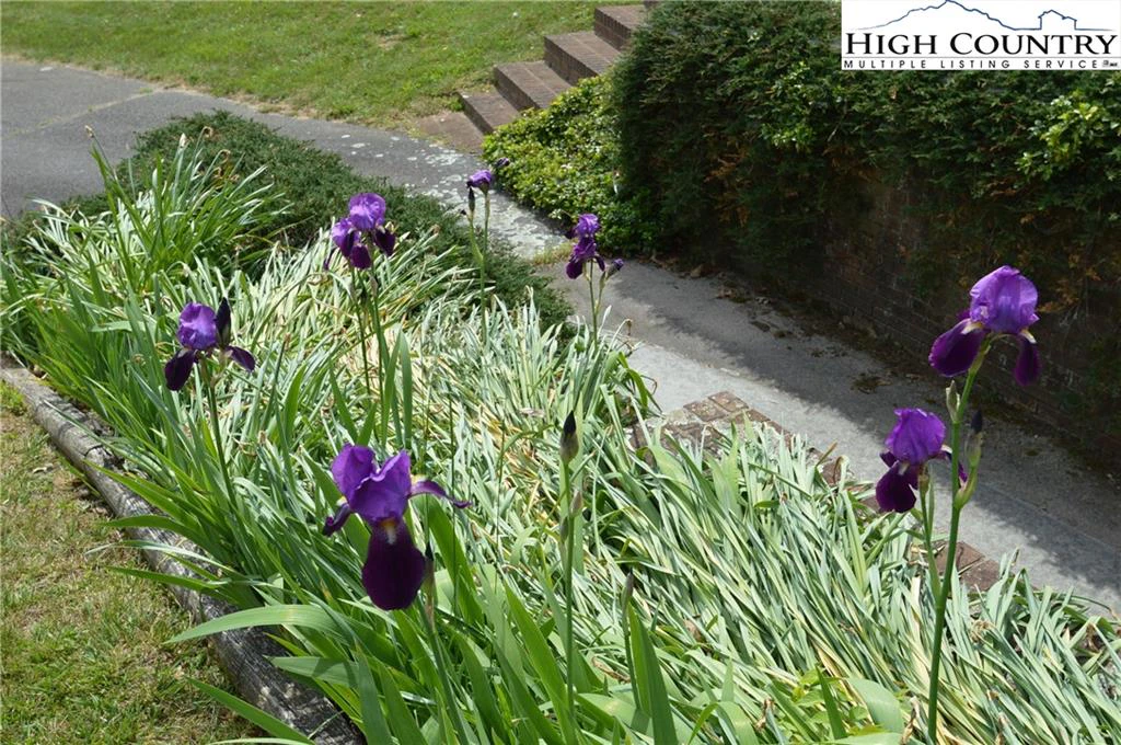 Image number 16 for the current listing