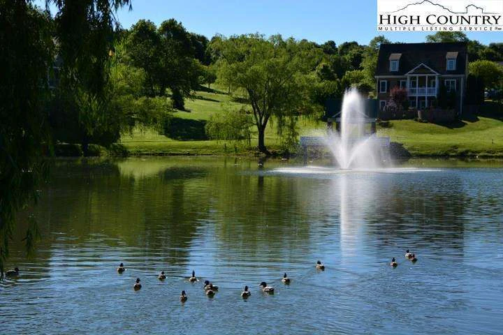 Image number 18 for the current listing
