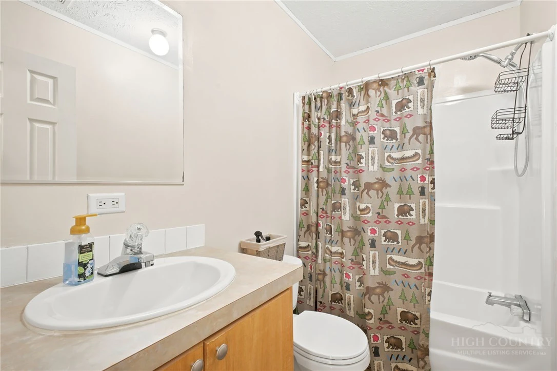 Image number 17 for the current listing