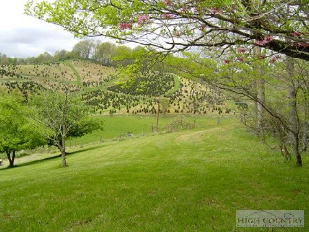 Image number 10 for the current listing