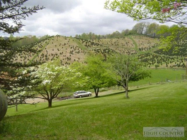 Image number 11 for the current listing