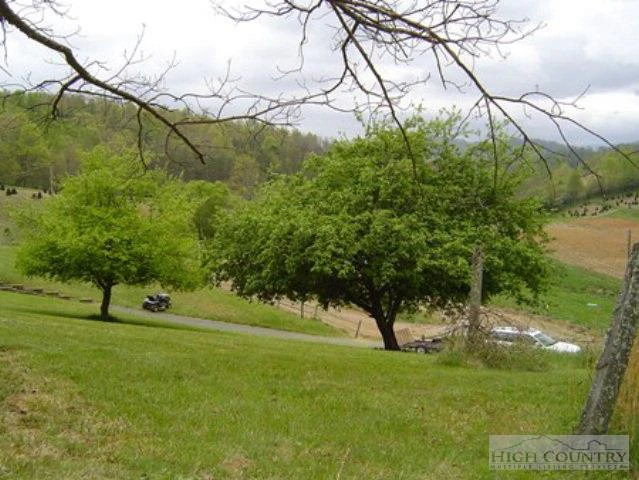 Image number 13 for the current listing