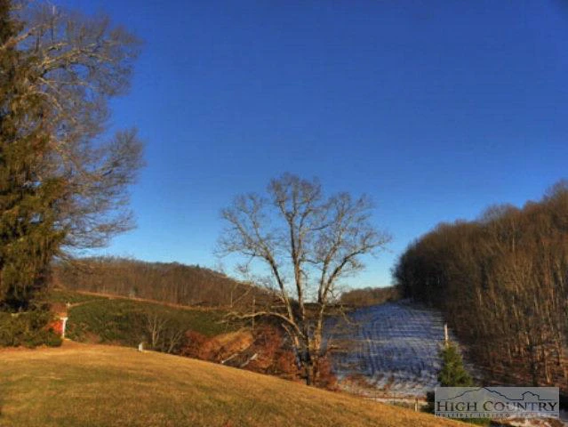 Image number 16 for the current listing