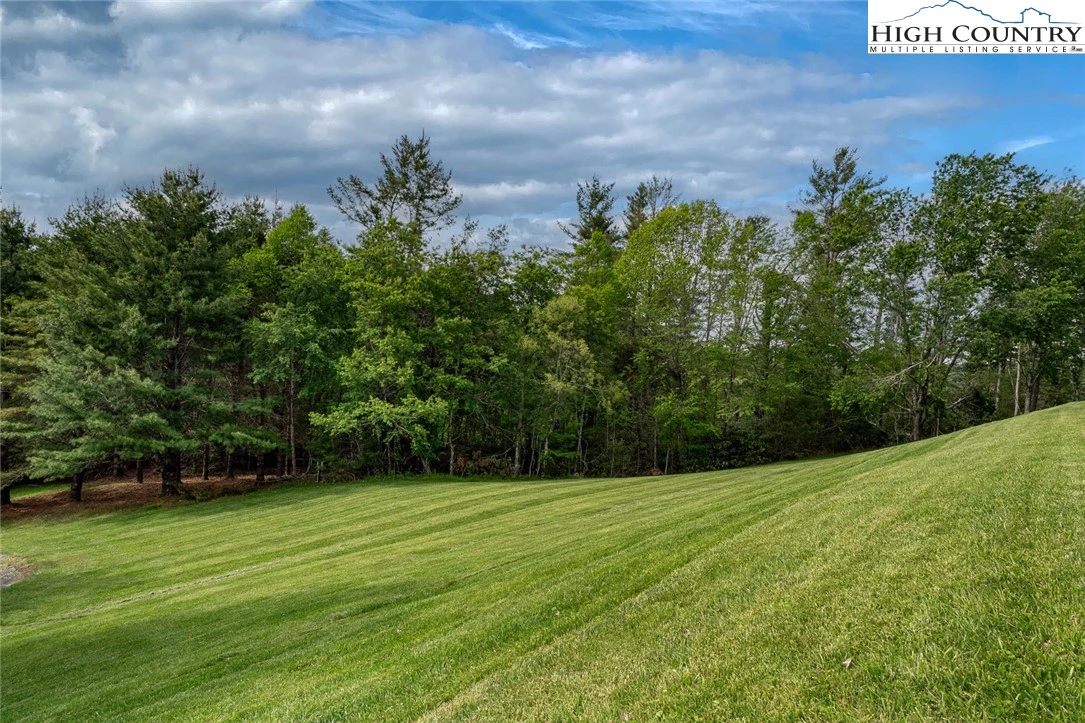 Image number 3 for the current listing