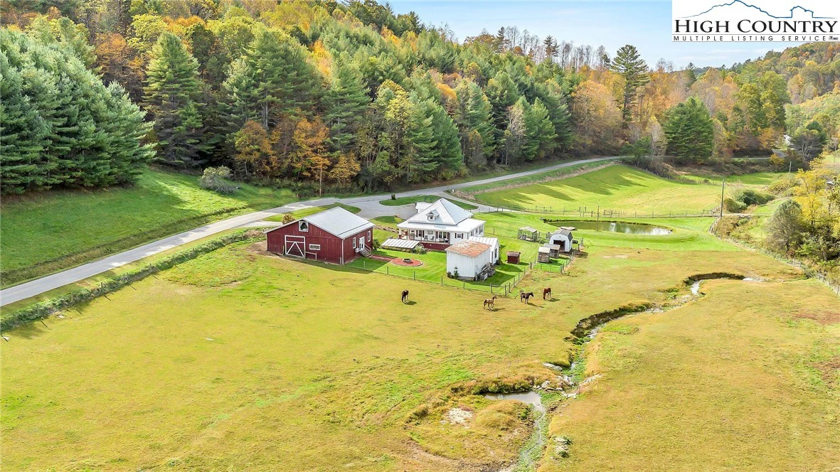 Image number 1 for the current listing