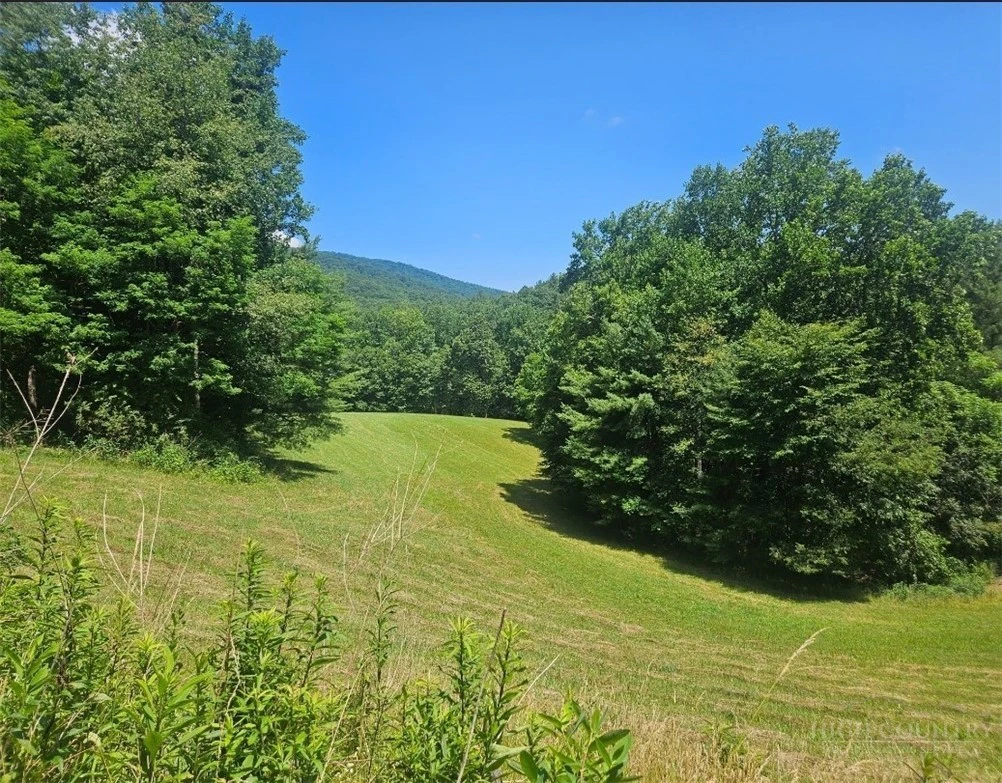 Image number 3 for the current listing