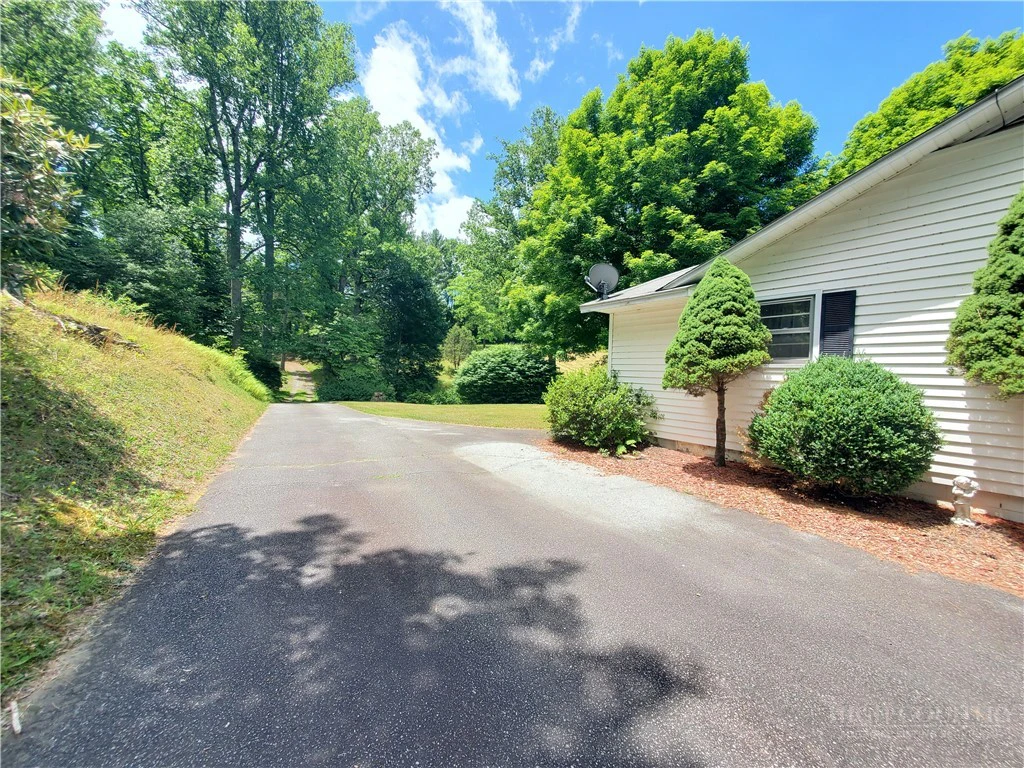 Image number 5 for the current listing