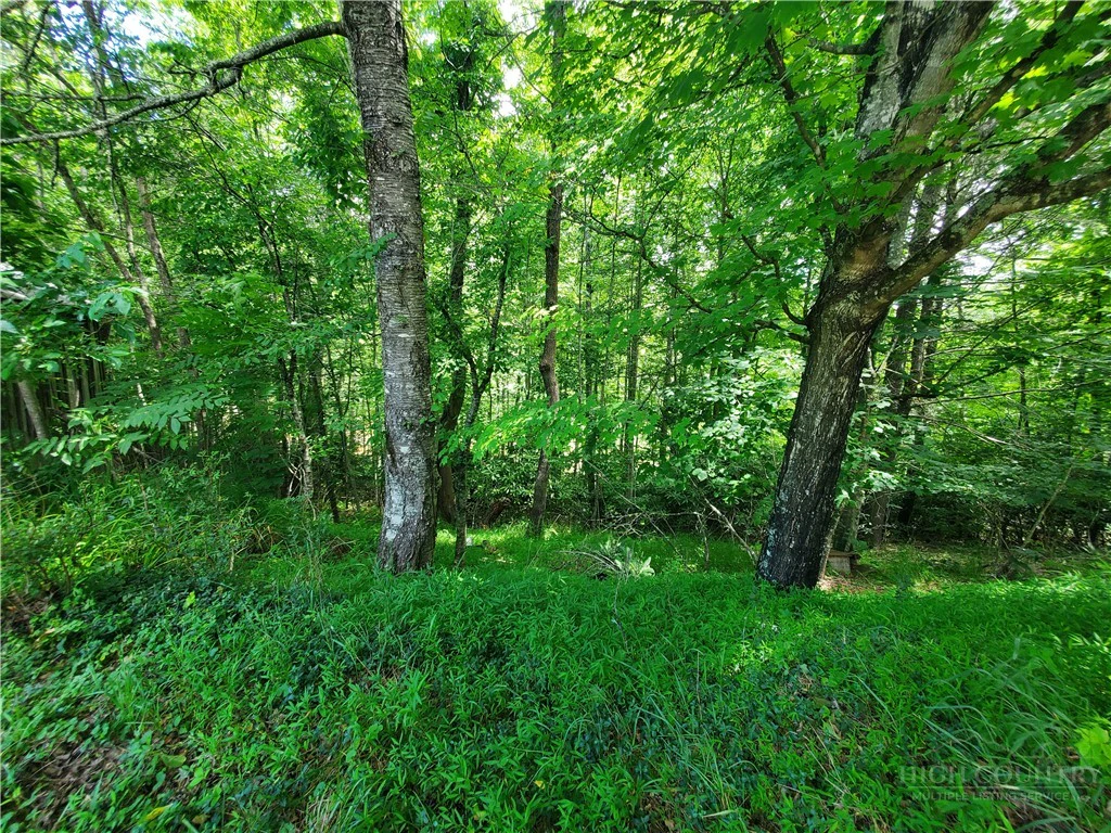 Image number 9 for the current listing