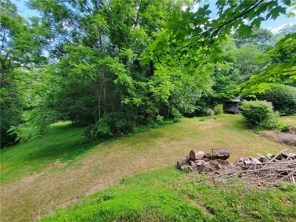 Image number 16 for the current listing