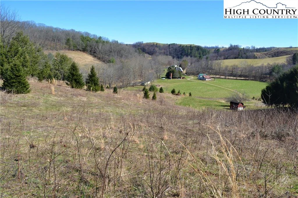 Image number 10 for the current listing