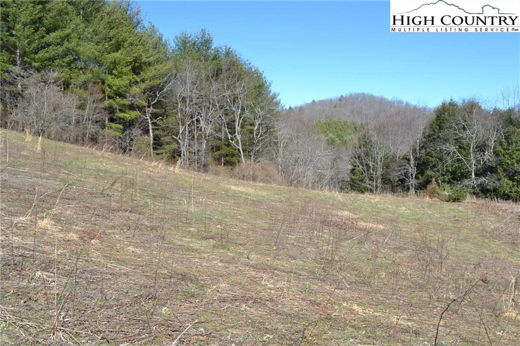 Image number 2 for the current listing