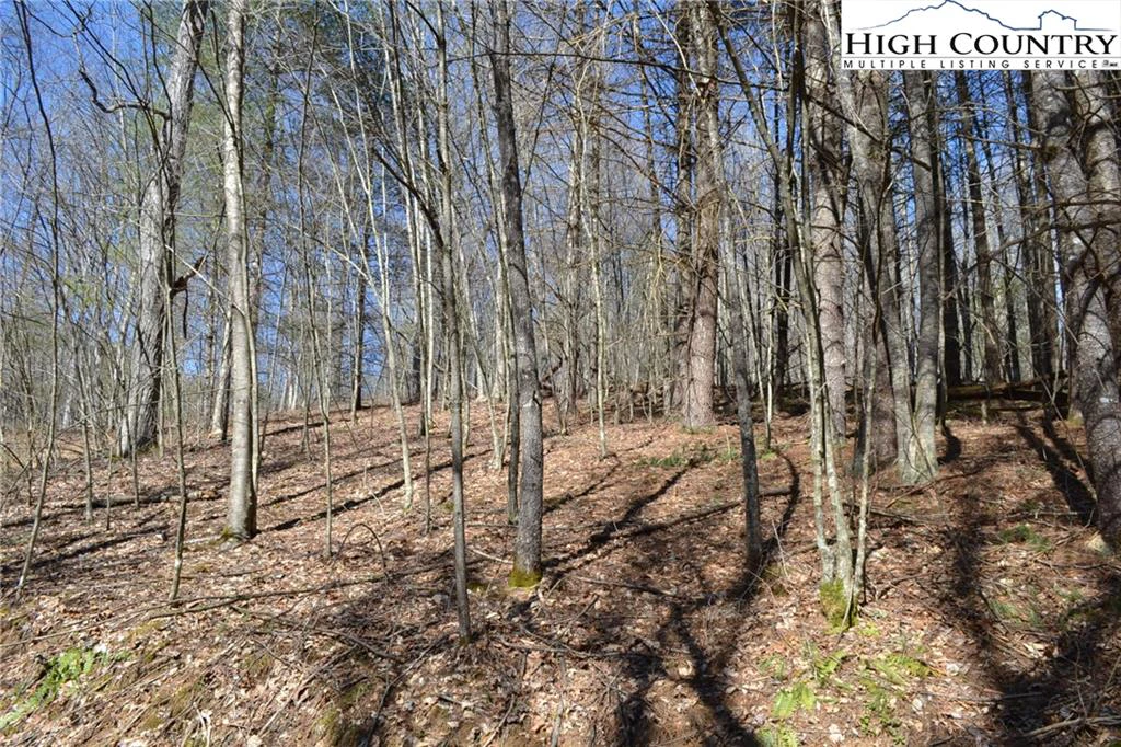 Image number 14 for the current listing