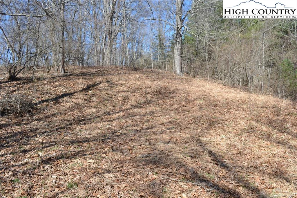 Image number 15 for the current listing