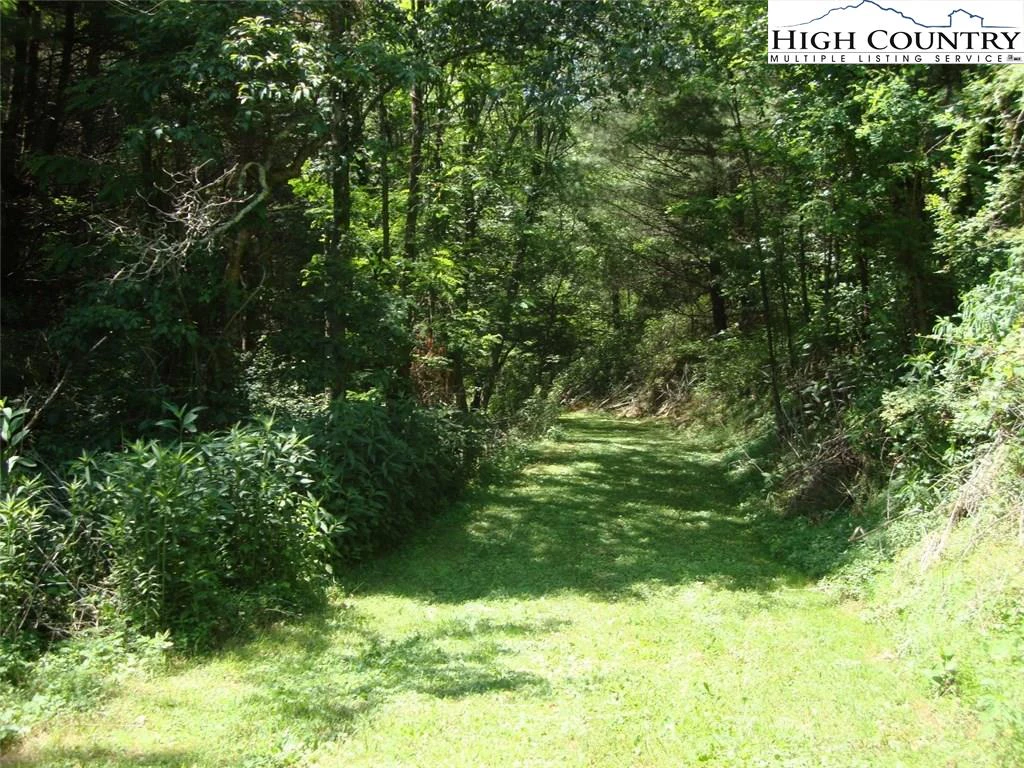 Image number 19 for the current listing