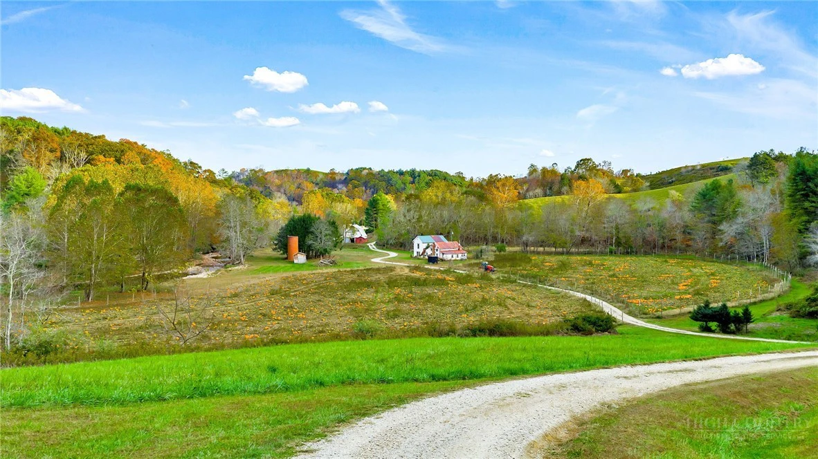 Image number 21 for the current listing