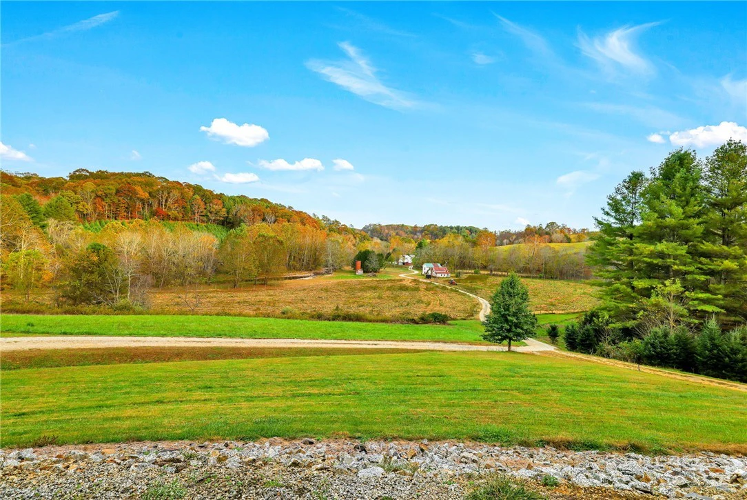 Image number 2 for the current listing