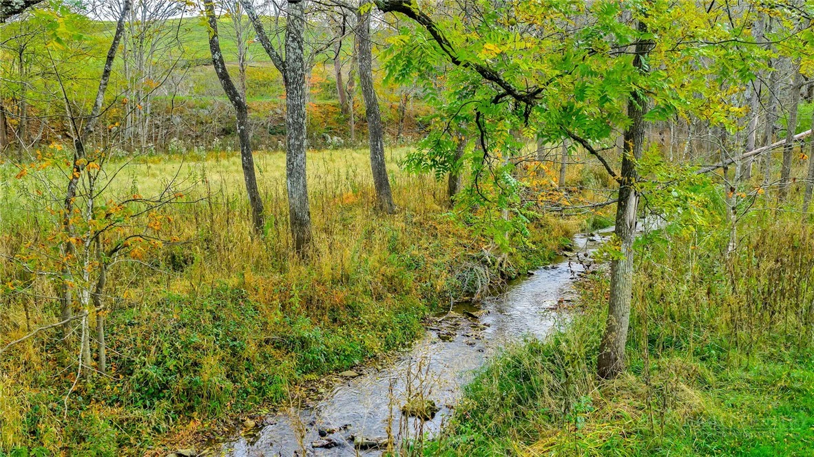 Image number 12 for the current listing