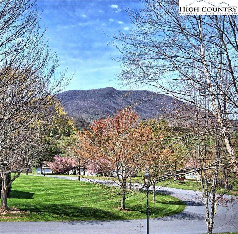 Image number 4 for the current listing