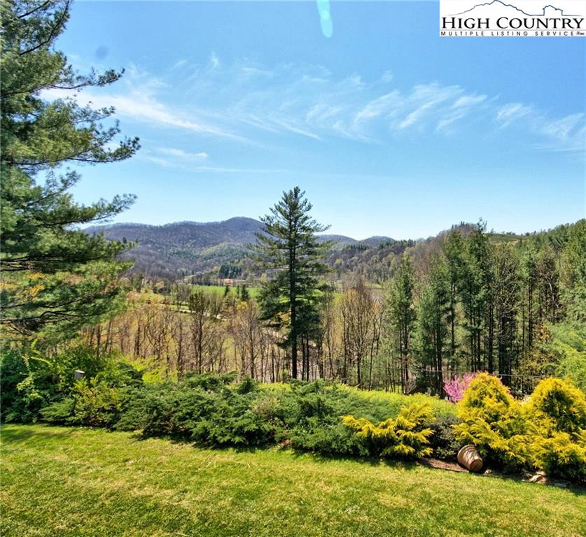 Image number 5 for the current listing