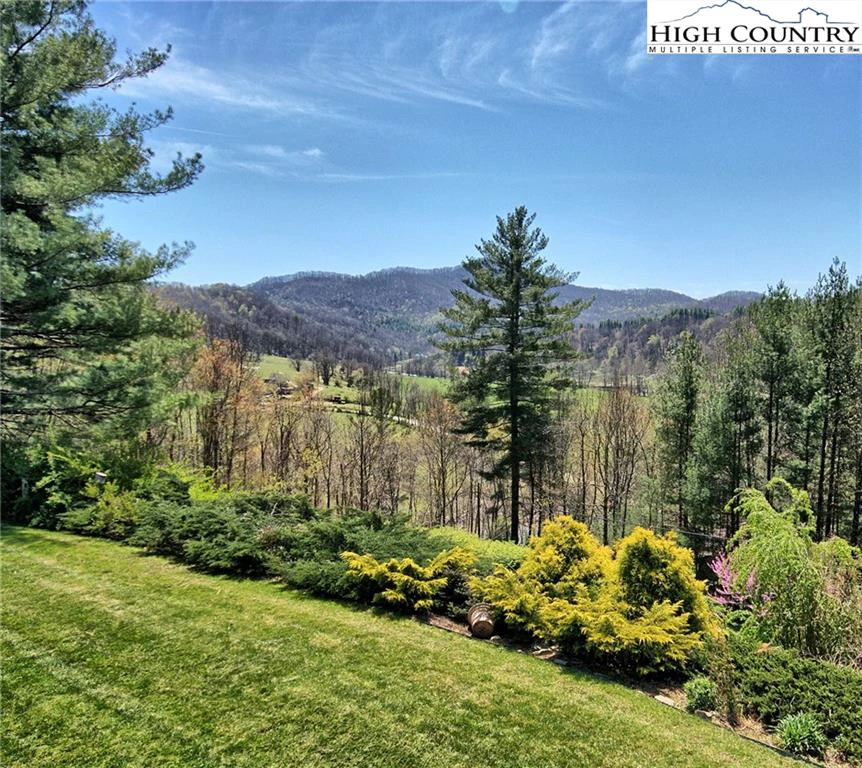 Image number 4 for the current listing