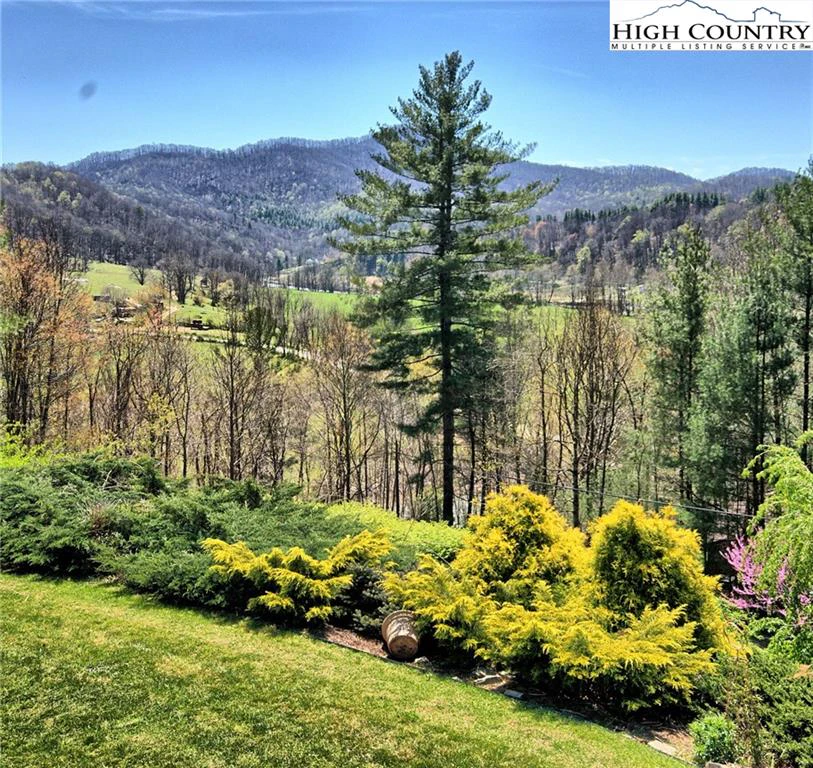 Image number 3 for the current listing
