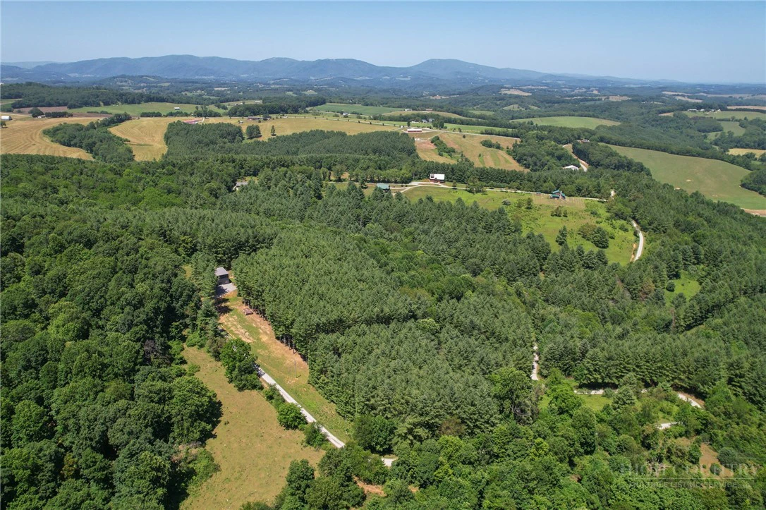 Image number 12 for the current listing