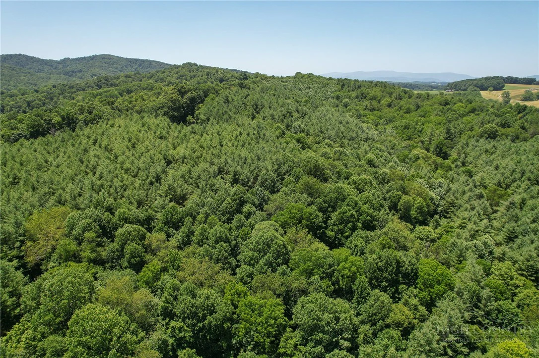 Image number 16 for the current listing