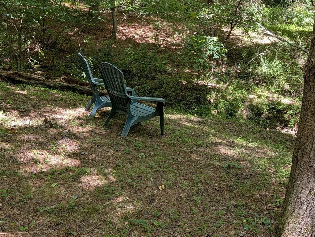 Image number 5 for the current listing