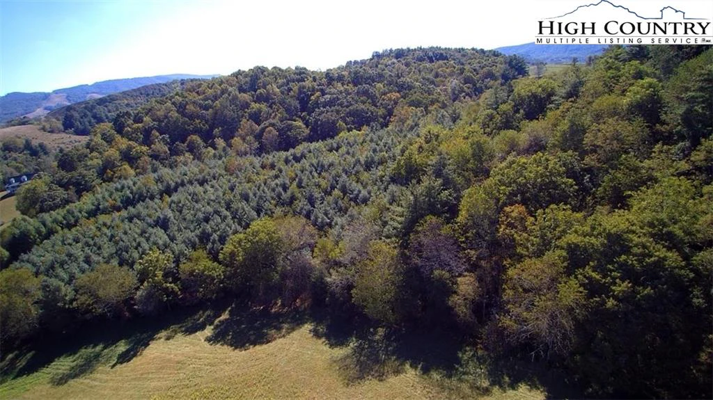 Image number 10 for the current listing