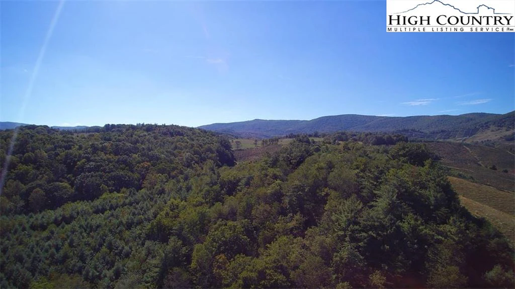 Image number 16 for the current listing
