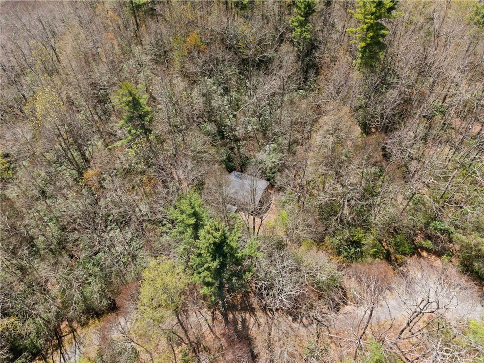 Image number 5 for the current listing