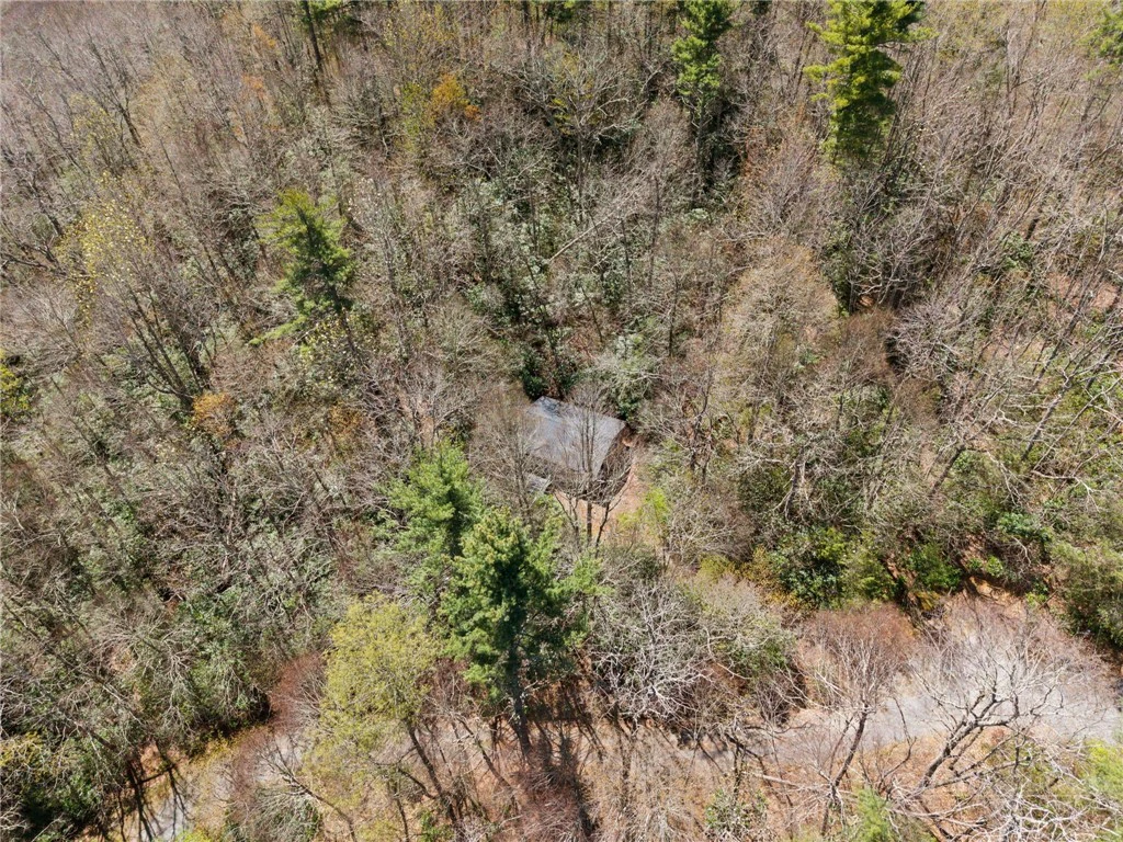 Image number 5 for the current listing