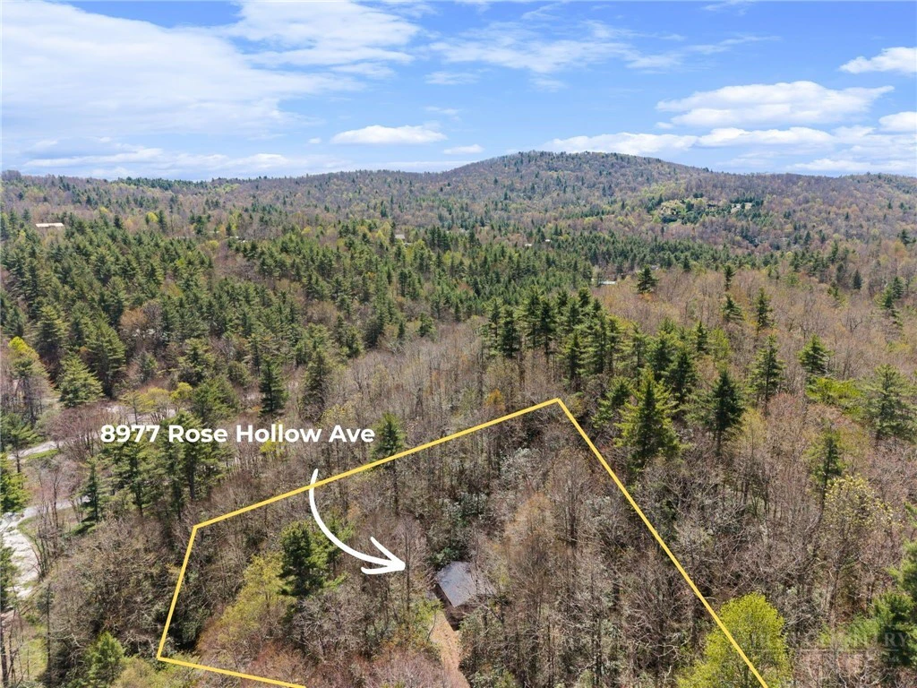 Image number 4 for the current listing