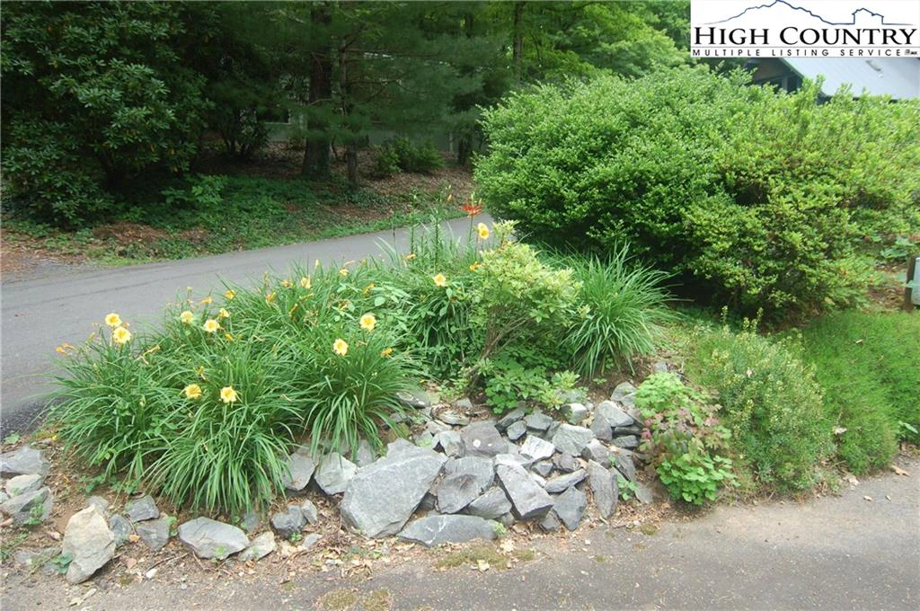 Image number 6 for the current listing