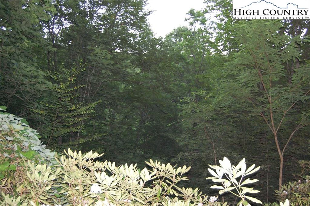 Image number 3 for the current listing