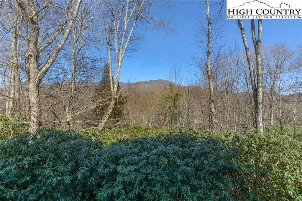 Image number 5 for the current listing