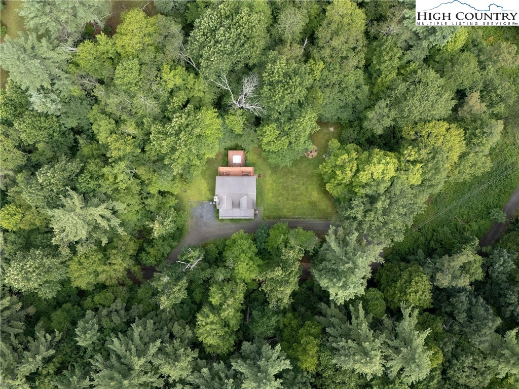 Image number 4 for the current listing