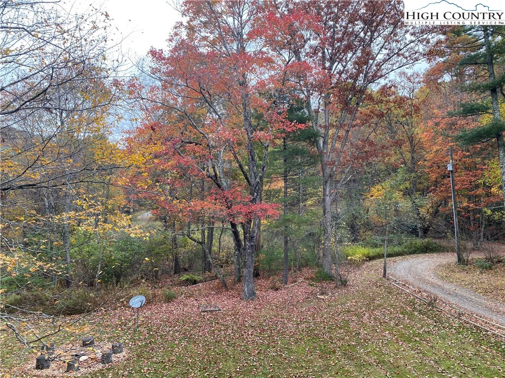 Image number 3 for the current listing