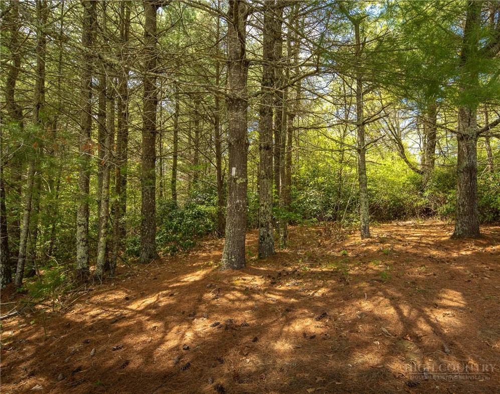 Image number 16 for the current listing