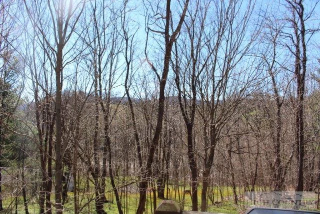Image number 13 for the current listing