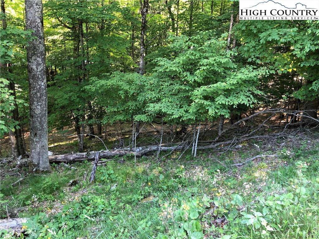 Image number 1 for the current listing