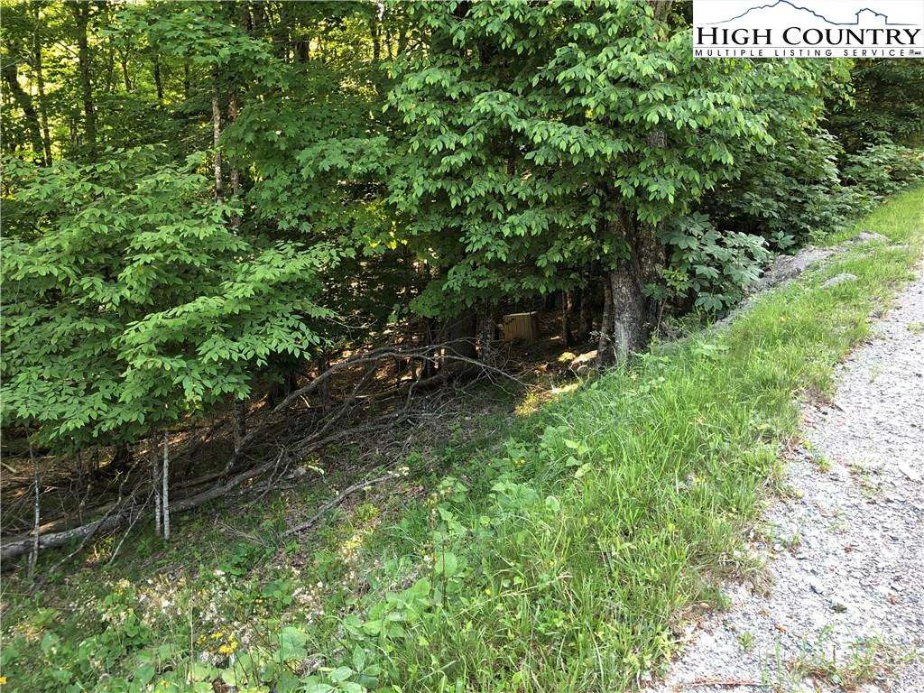 Image number 3 for the current listing