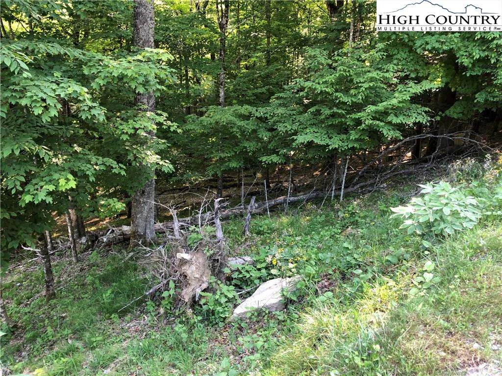 Image number 4 for the current listing