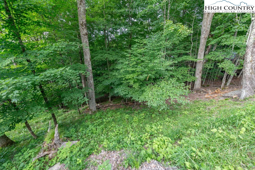 Image number 7 for the current listing