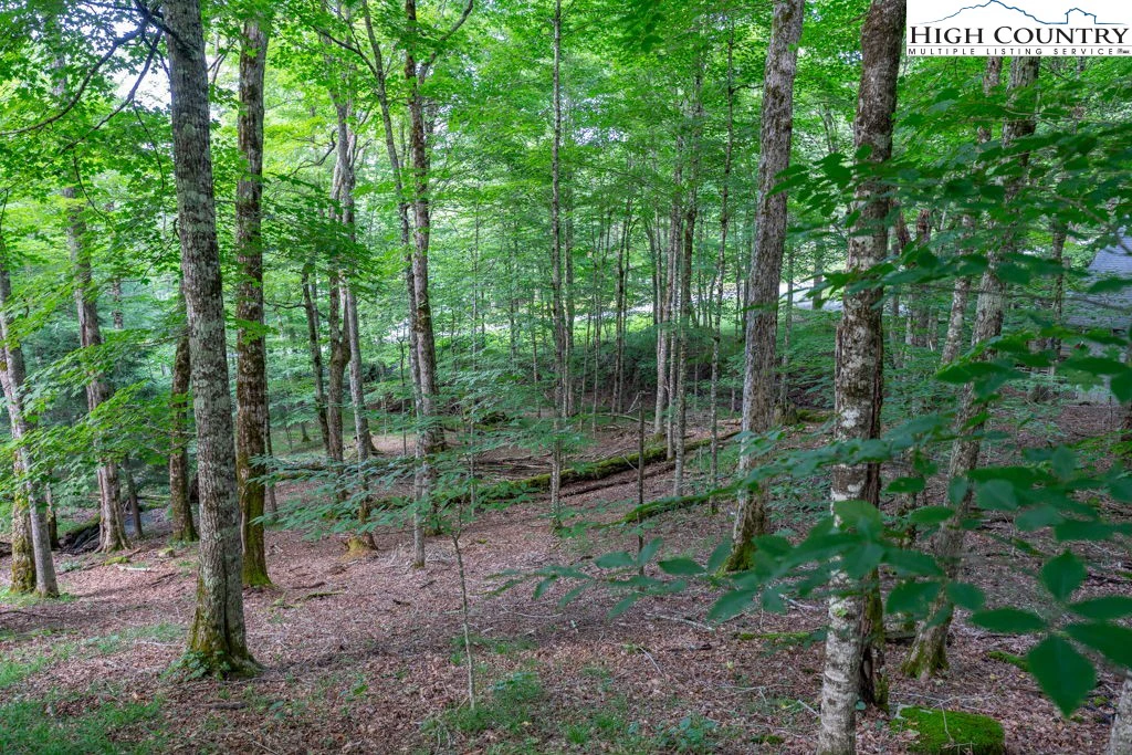 Image number 14 for the current listing