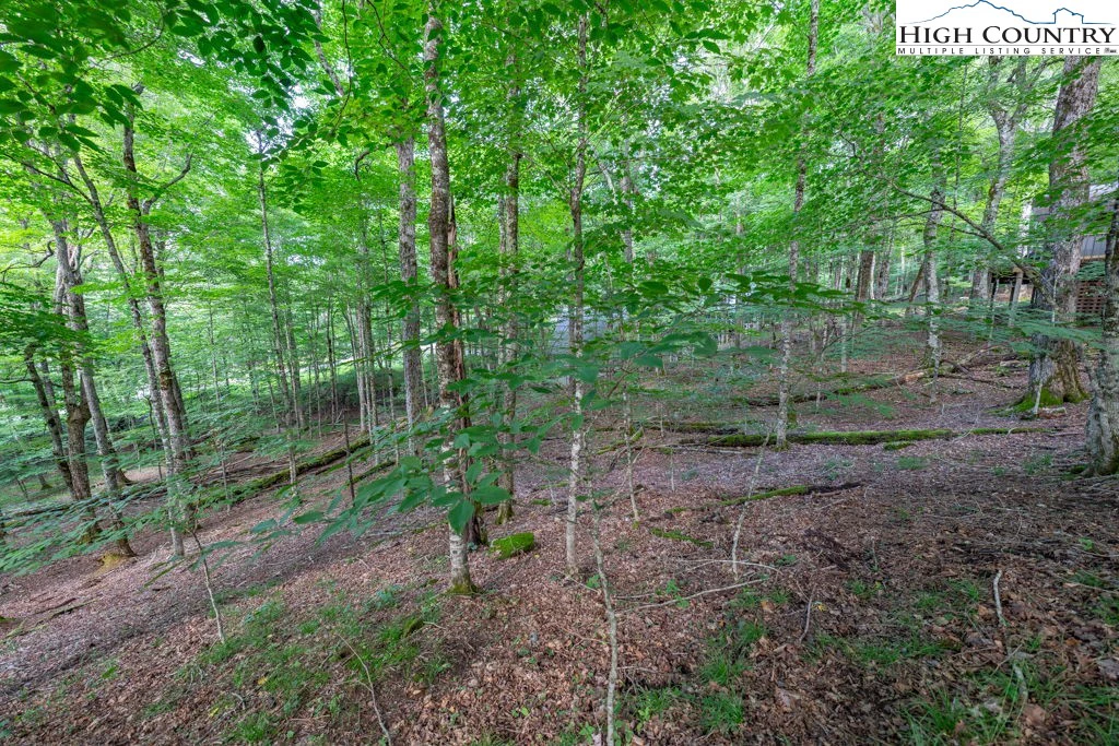 Image number 1 for the current listing