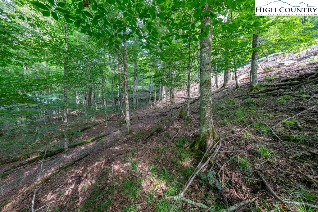 Image number 6 for the current listing