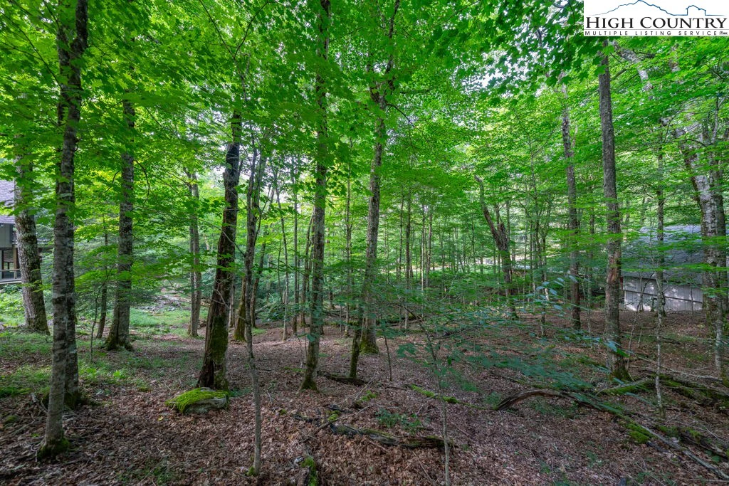 Image number 5 for the current listing