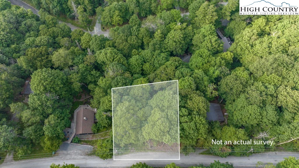 Image number 13 for the current listing