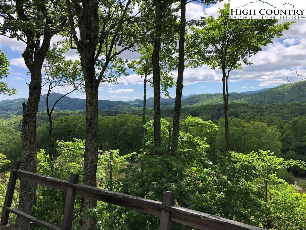 Image number 1 for the current listing